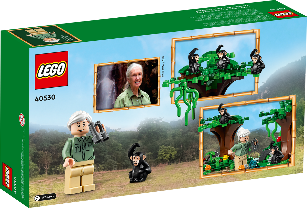 LEGO Jane Goodall Tribute 40530 Building Set (276 Pieces) - View 3