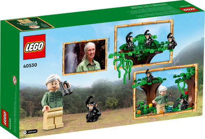 LEGO Jane Goodall Tribute 40530 Building Set (276 Pieces) - View 3