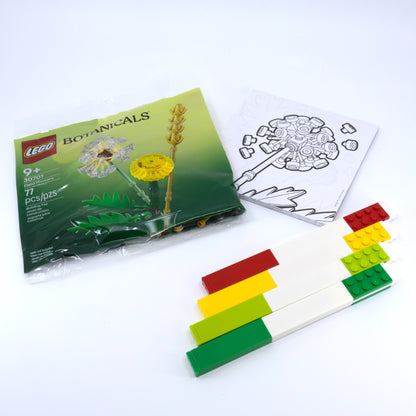 LEGO Botanicals Creativity Set for Ages 6+, Craft and Build Activity - View 7