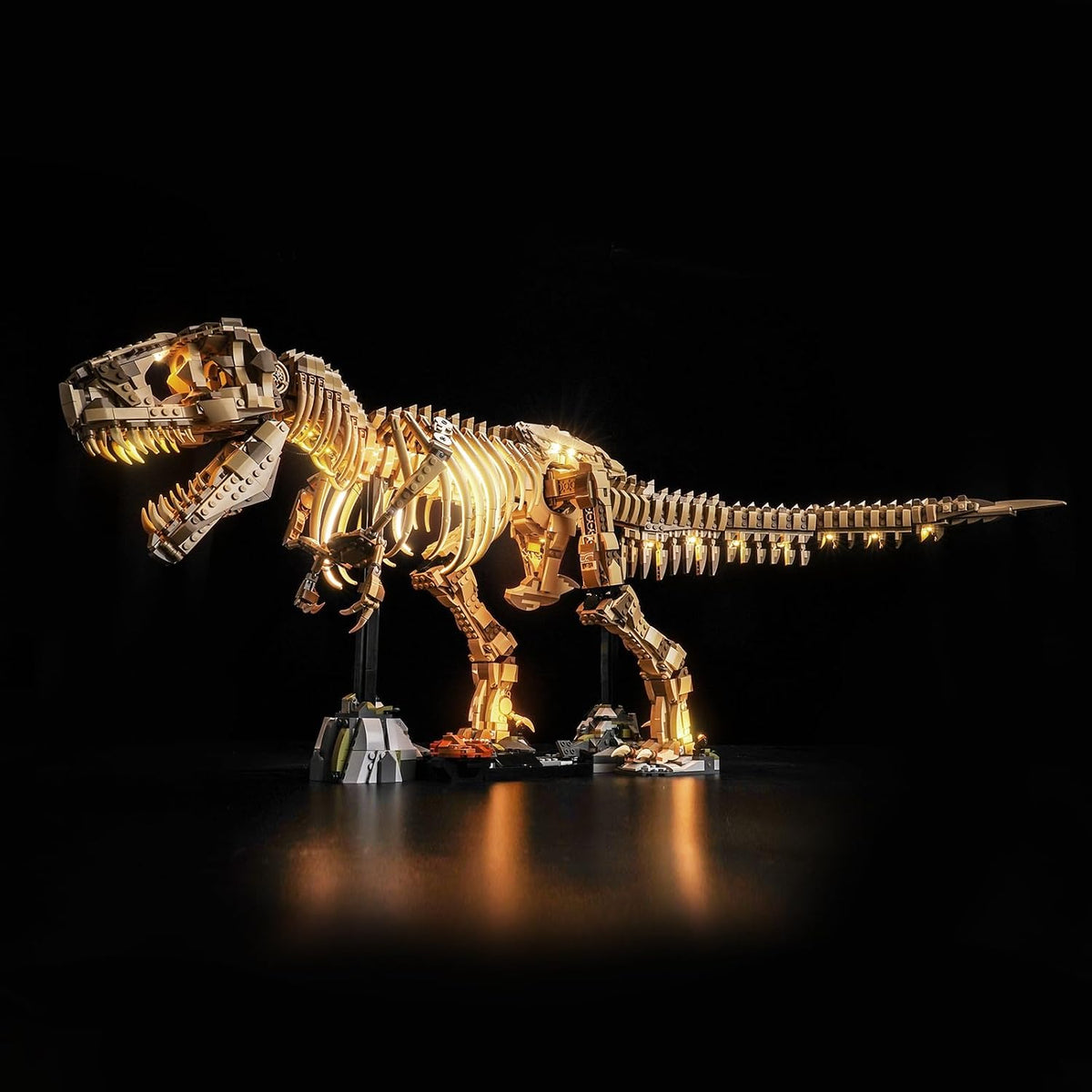 Tyrannosaurus fossil skeleton brick model lit by an LED light kit on a dark shelf – view 2