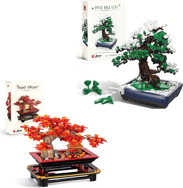 Brick-built red maple bonsai and green pine bonsai in pots side by side