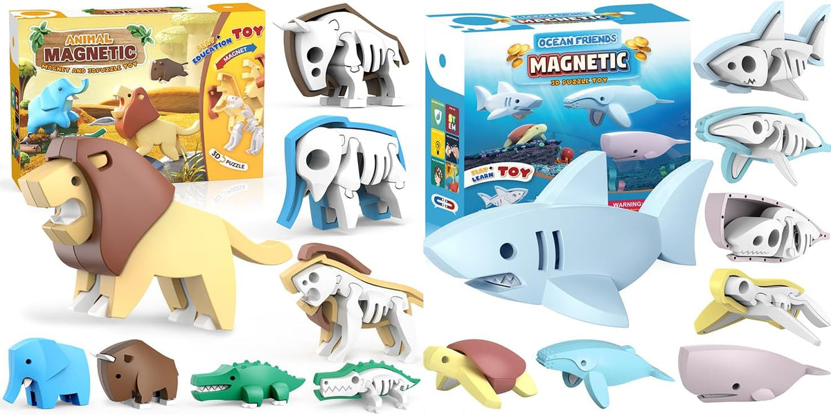 Magnetic sea turtle and whale toys split open to show bone structure