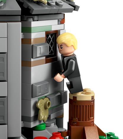LEGO Harry Potter Hagrid's Hut: An Unexpected Visit 76428 Building Set (896 Pieces) - View 7