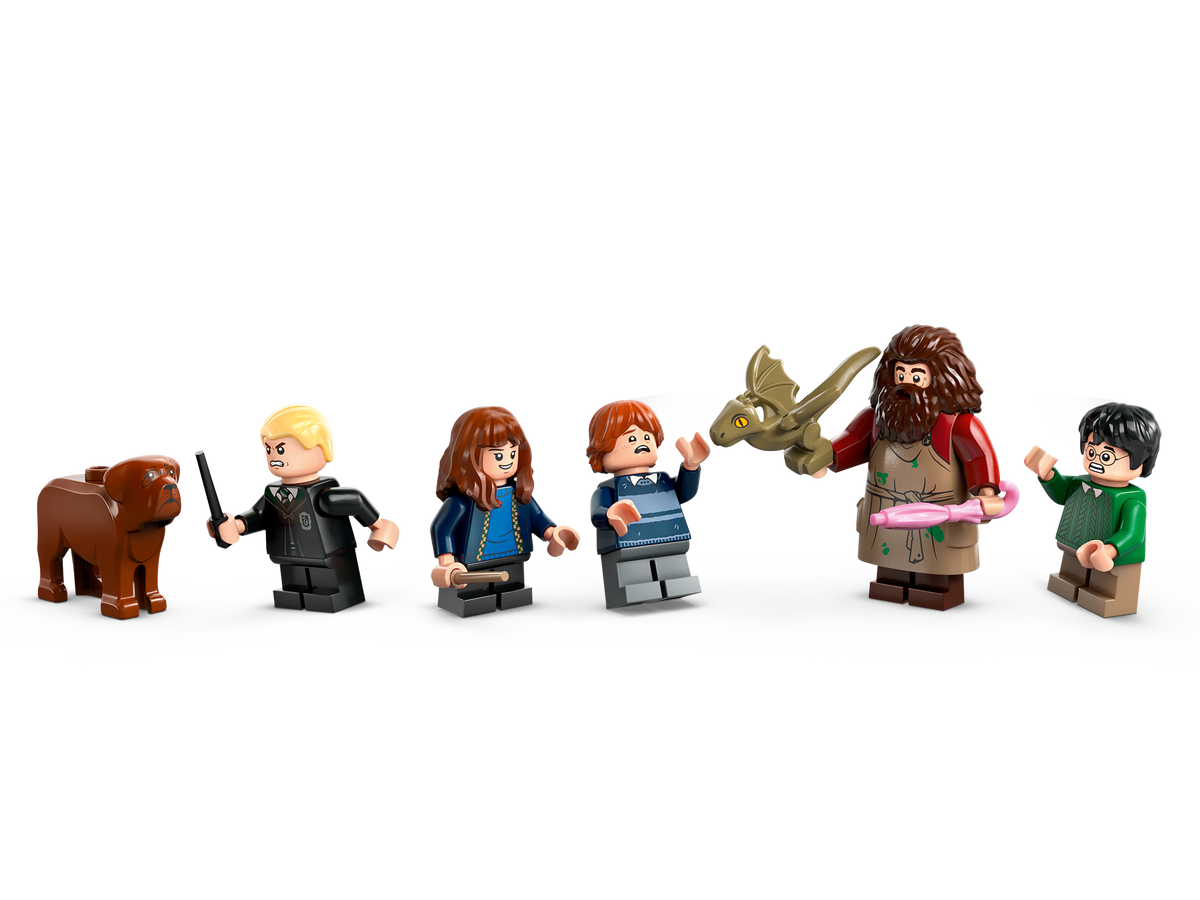 LEGO Harry Potter Hagrid's Hut: An Unexpected Visit 76428 Building Set (896 Pieces) - View 8