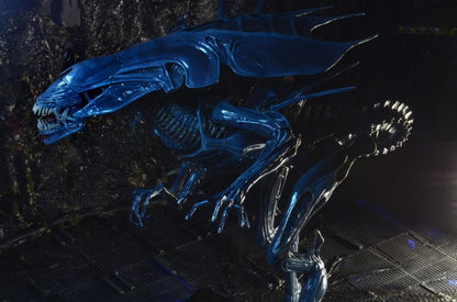NECA Aliens Xenomorph Queen Ultra Deluxe 15-Inch Action Figure with 30 Articulation Points - View 6