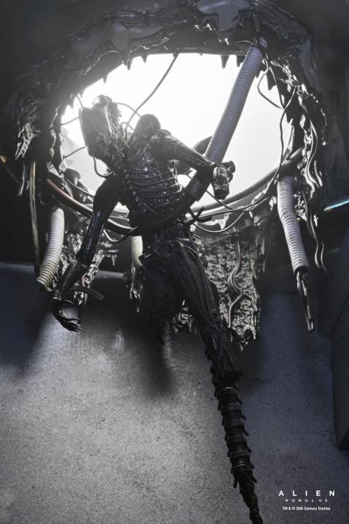 NECA Alien Romulus Suspended Lab Xenomorph XX121 Deluxe Plastic Action Figure - View 5