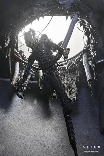 NECA Alien Romulus Suspended Lab Xenomorph XX121 Deluxe Plastic Action Figure - View 5