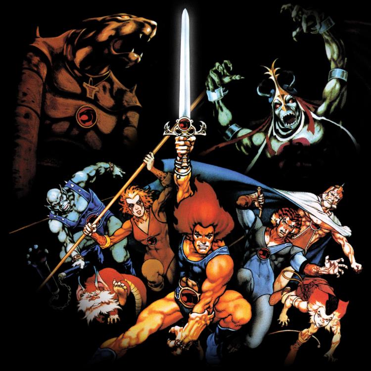Super7 ThunderCats DX Deluxe Tygra Cartoon Series Action Figure - View 8
