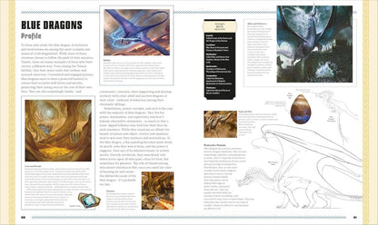 DK Publishing Dungeons & Dragons The Book of Dragons Book - View 6