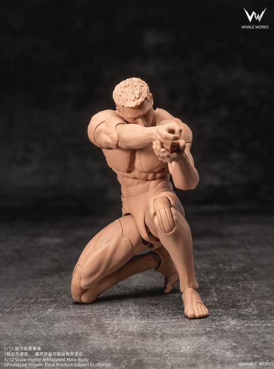 Whale Works Male (Ver. B) 1/12 Scale Plastic Blank Body - View 8
