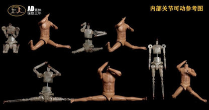 AD Body Male 1/6 Scale Plastic Seamless Body (AD-28) - View 5