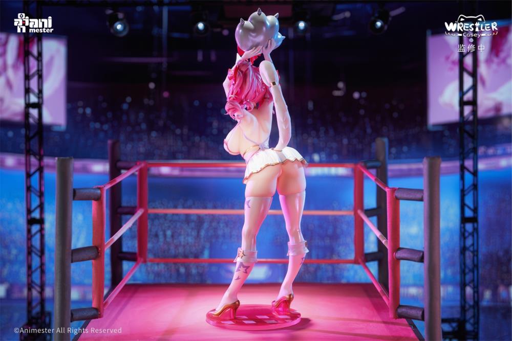 AniMester Wrestler Casey 1/6 Scale Figure (13-Inch) - View 4