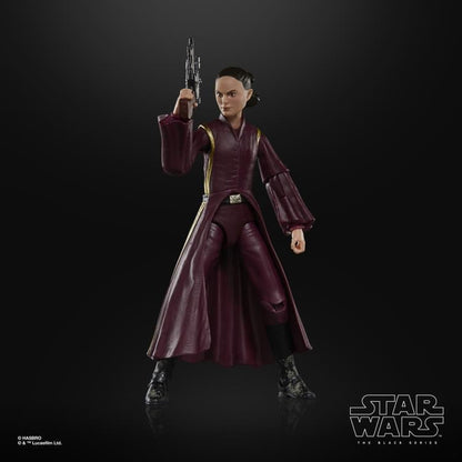 Hasbro Star Wars 25th Anniversary The Black Series 6-Inch Padme Amidala The Phantom Menace Action Figure - View 5