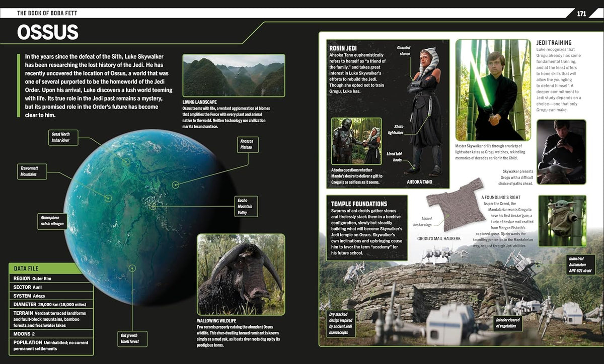 DK Publishing Star Wars: The Mandalorian Visual Guide with Grogu, Razor Crest, Moff Gideon, Fennec Shand - View 6