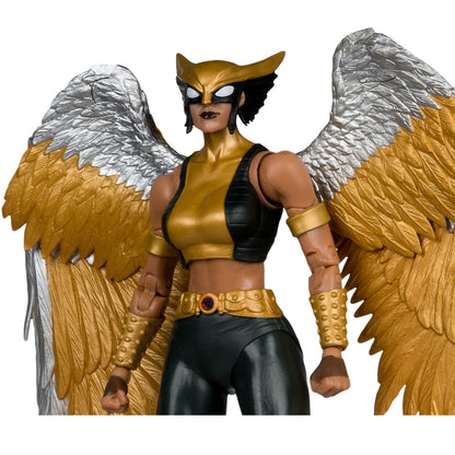 McFarlane Toys DC Multiverse Collector Edition Hawkgirl (Kendra Saunders) Action Figure - View 8