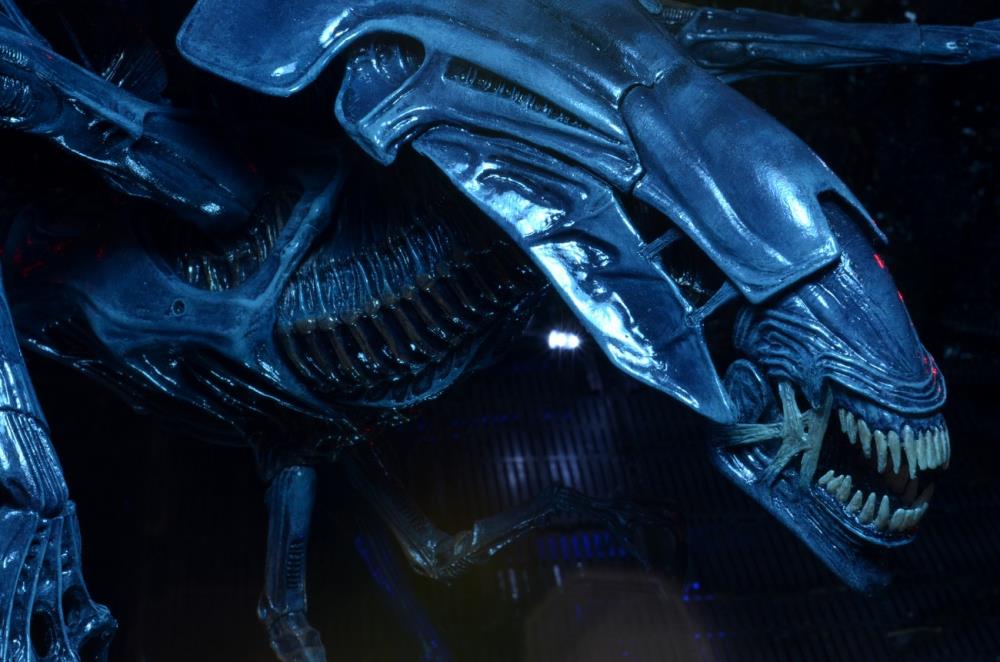 NECA Aliens Xenomorph Queen Ultra Deluxe 15-Inch Action Figure with 30 Articulation Points - View 11