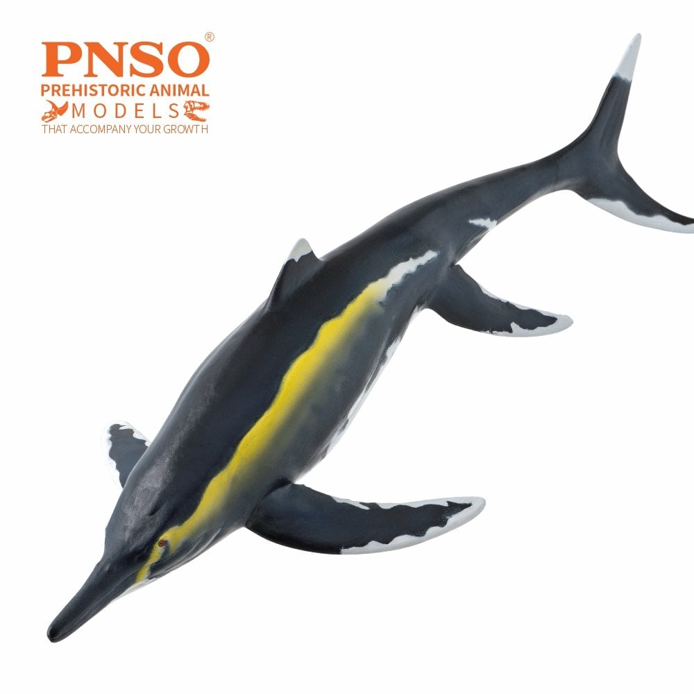 PNSO Prehistoric Art Models Youran the Guizhouichthyosaurus 8.07-Inch PVC Figure - View 5