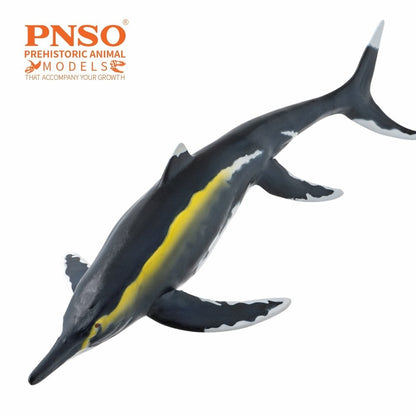 PNSO Prehistoric Art Models Youran the Guizhouichthyosaurus 8.07-Inch PVC Figure - View 5