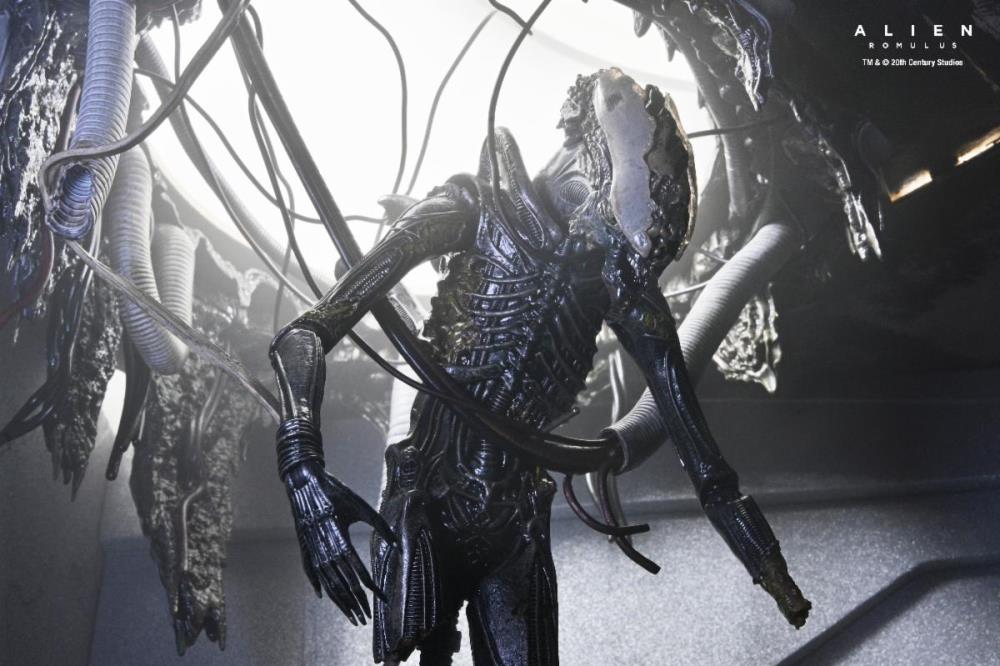 NECA Alien Romulus Suspended Lab Xenomorph XX121 Deluxe Plastic Action Figure - View 8