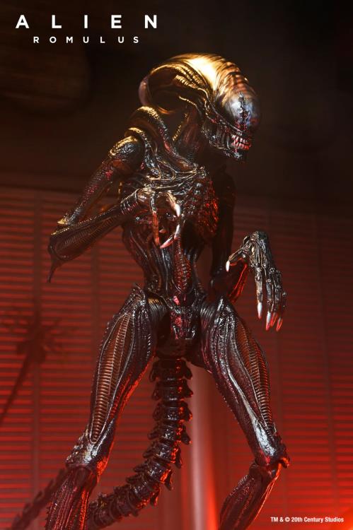 NECA Alien Romulus Ultimate Scorched Alien Xenomorph 9-Inch Plastic Figure - View 6