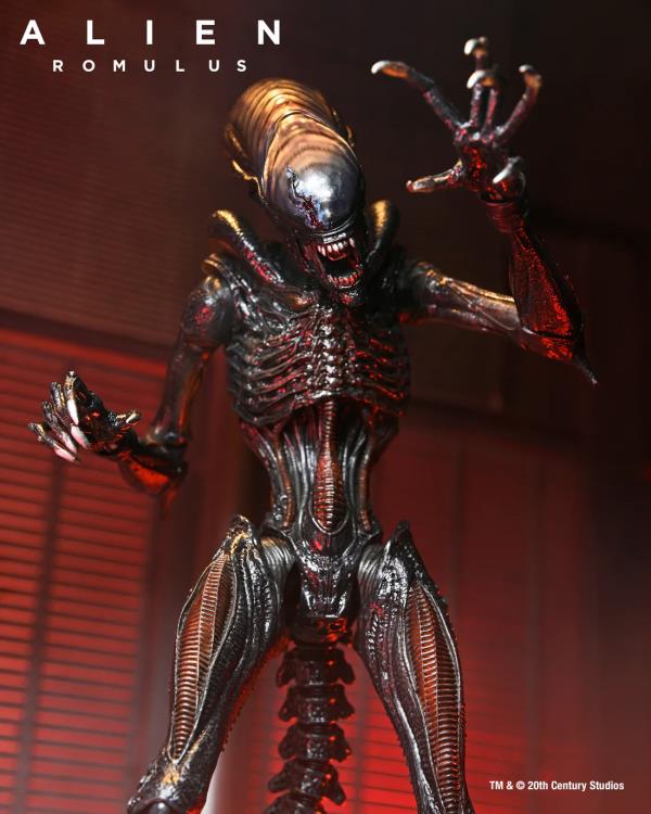 NECA Alien Romulus Ultimate Scorched Alien Xenomorph 9-Inch Plastic Figure - View 7