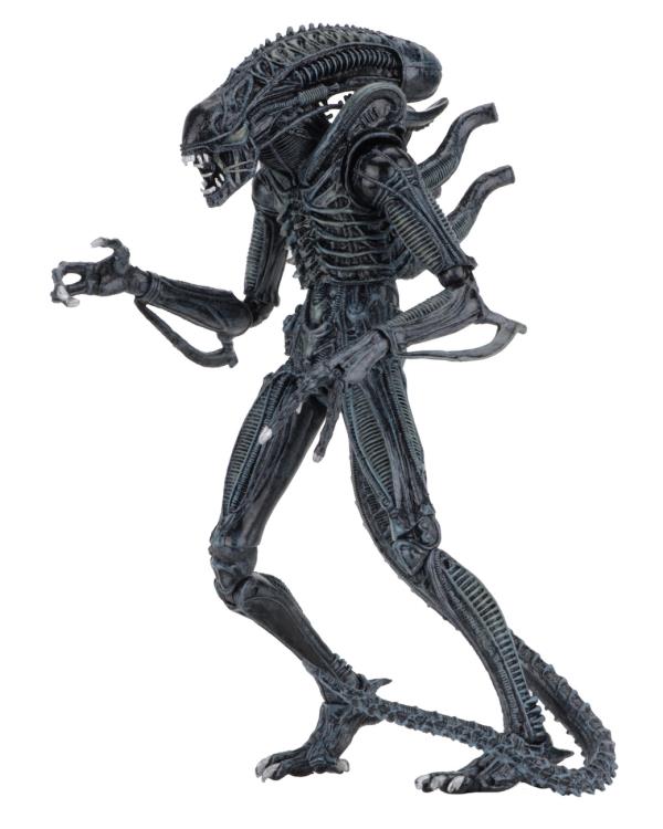 NECA Aliens Ultimate Warrior Blue 9-Inch Action Figure with 30 Articulation Points - View 6