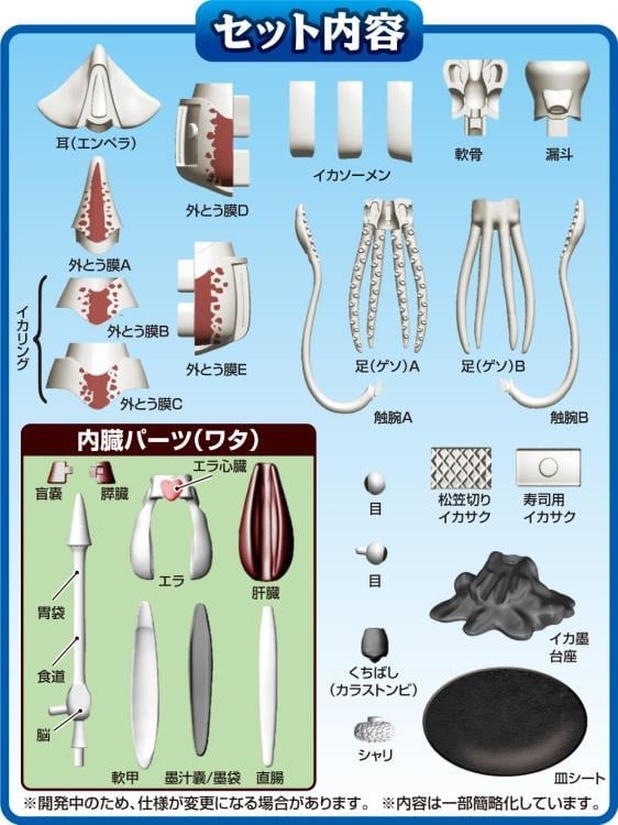 MegaHouse Kaitai Giant Squid Plastic Anatomy Puzzle Model Kit - View 4