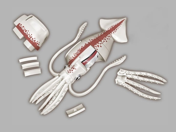 MegaHouse Kaitai Giant Squid Plastic Anatomy Puzzle Model Kit - View 2