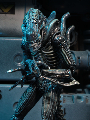 NECA Aliens Ultimate Warrior Blue 9-Inch Action Figure with 30 Articulation Points