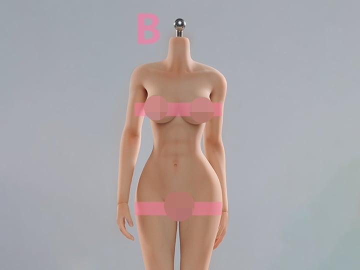Very Cool Universal Female 1/6 Scale Medium Bust Body (VCD-01B Regular Complexion) - View 2