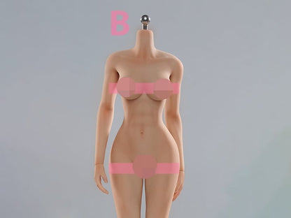 Very Cool Universal Female 1/6 Scale Medium Bust Body (VCD-01B Regular Complexion) - View 2
