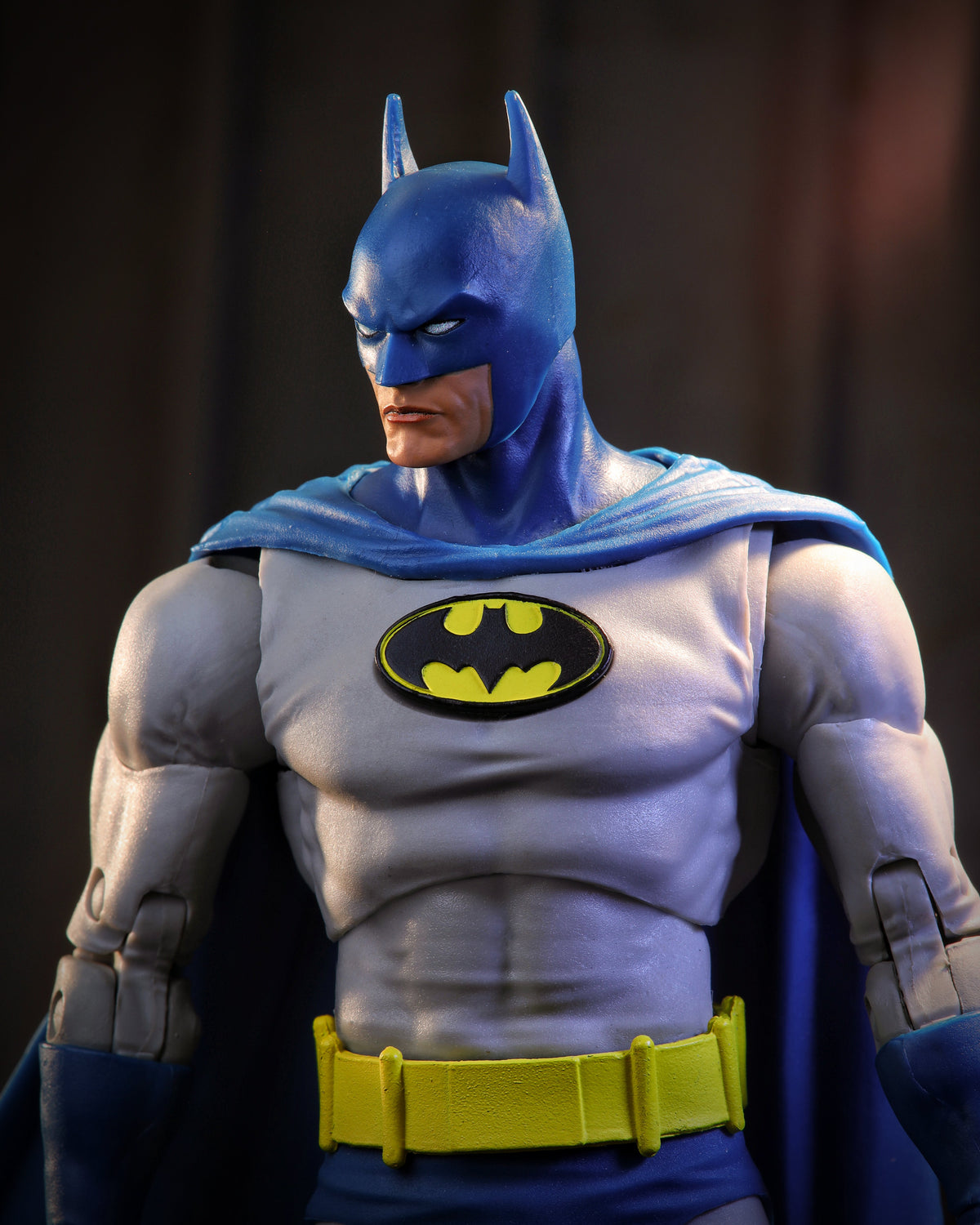 McFarlane Toys DC Multiverse Batman: Knightfall McFarlane Vault Collection Batman Action Figure - View 8