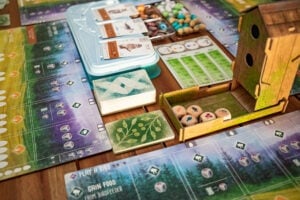 Stonemaier Games Wingspan Tabletop Board Game (Wingspan Base Game) - View 11