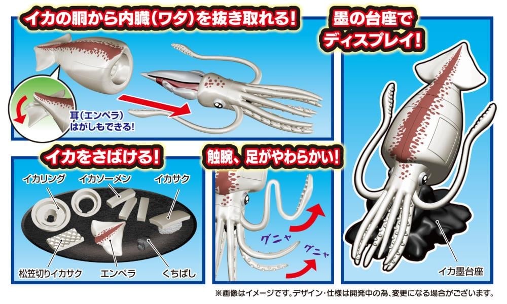 MegaHouse Kaitai Giant Squid Plastic Anatomy Puzzle Model Kit - View 5