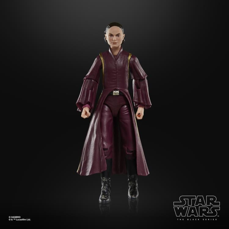 Hasbro Star Wars 25th Anniversary The Black Series 6-Inch Padme Amidala The Phantom Menace Action Figure - View 6