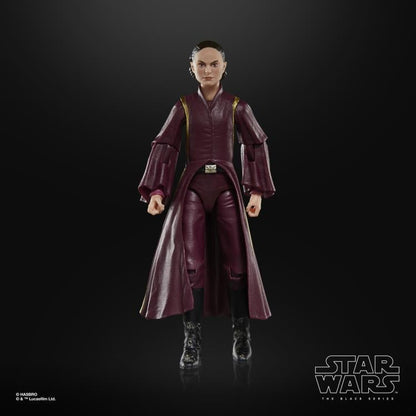 Hasbro Star Wars 25th Anniversary The Black Series 6-Inch Padme Amidala The Phantom Menace Action Figure - View 6