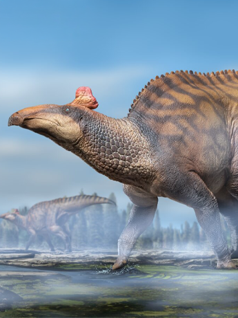 PNSO Prehistoric Art Models Zabad the Edmontosaurus PVC Dinosaur Figure