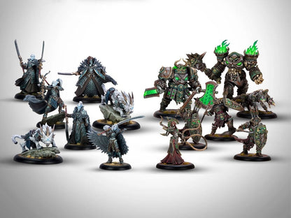Steamforged Games Warmachine Frozen and Forgotten Set - View 2