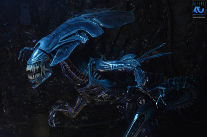 NECA Aliens 40th Anniversary Alien Queen Deluxe Action Figure with 30 Points of Articulation - View 6