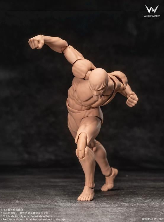 Whale Works Male (Ver. B) 1/12 Scale Plastic Blank Body - View 7