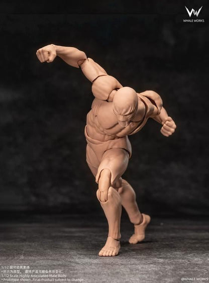 Whale Works Male (Ver. B) 1/12 Scale Plastic Blank Body - View 7