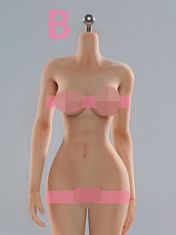 Very Cool Universal Female 1/6 Scale Medium Bust Body with Feet (VCD-02B Regular Complexion)