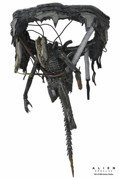 NECA Alien Romulus Suspended Lab Xenomorph XX121 Deluxe Plastic Action Figure - View 14