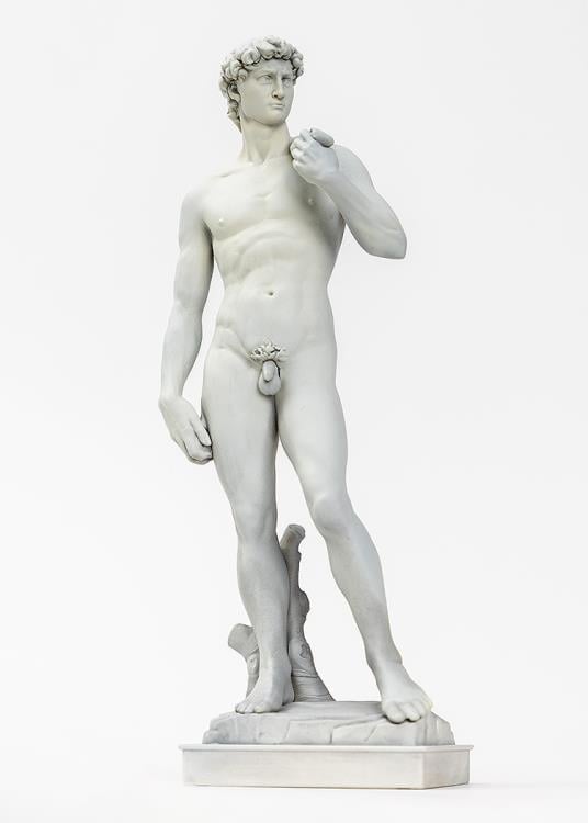 Syuto Seiko Michelangelo's David 1/35 Scale 6-Inch Plastic Model Kit - View 3