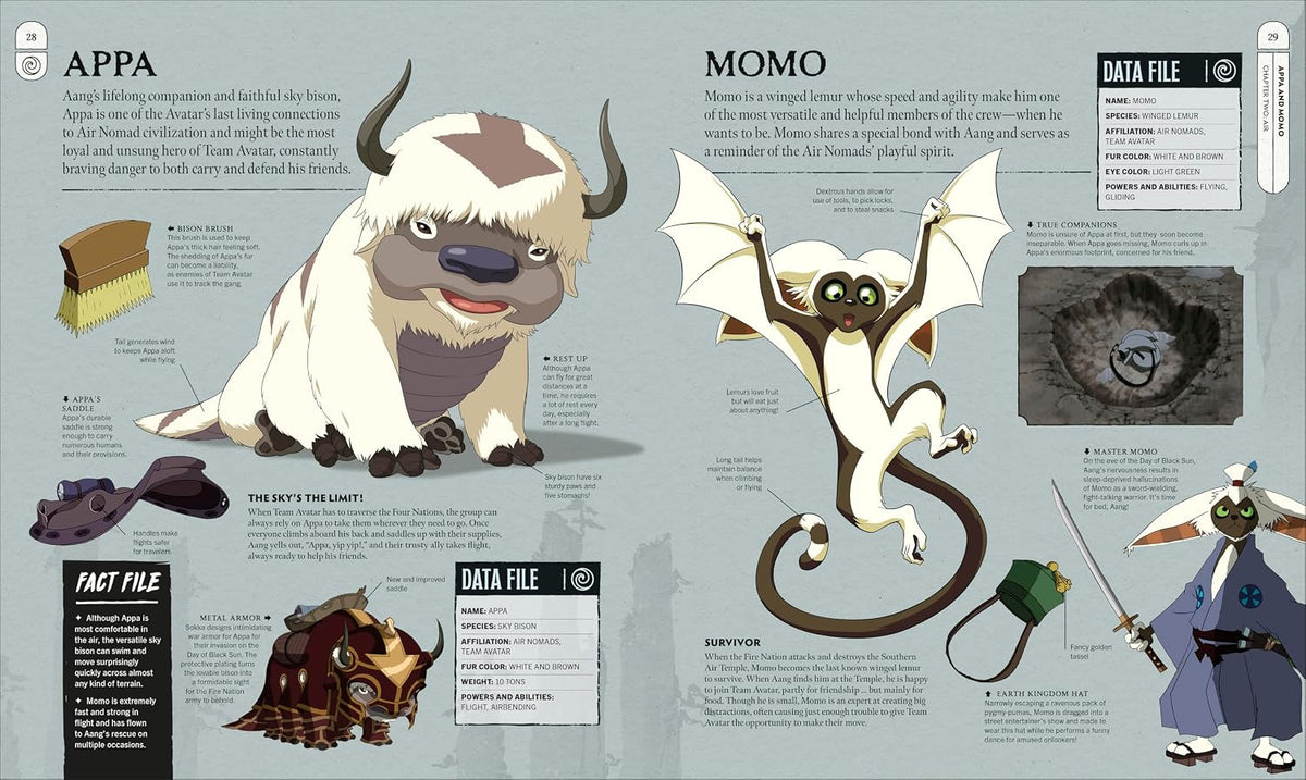 DK Publishing Avatar: The Last Airbender Visual Dictionary Reference Book - View 5