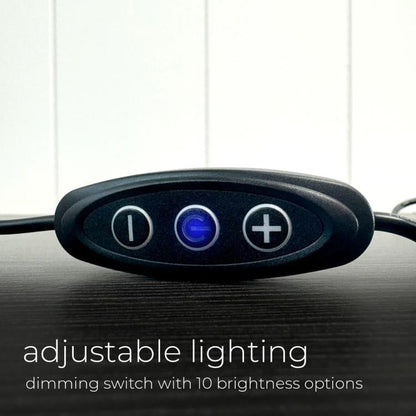 Trend Setters FilmPix LED Lamp Collectible, 8.7-Inch - View 7