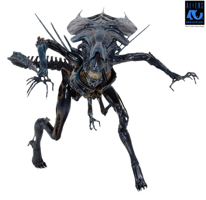 NECA Aliens 40th Anniversary Alien Queen Deluxe Action Figure with 30 Points of Articulation - View 13