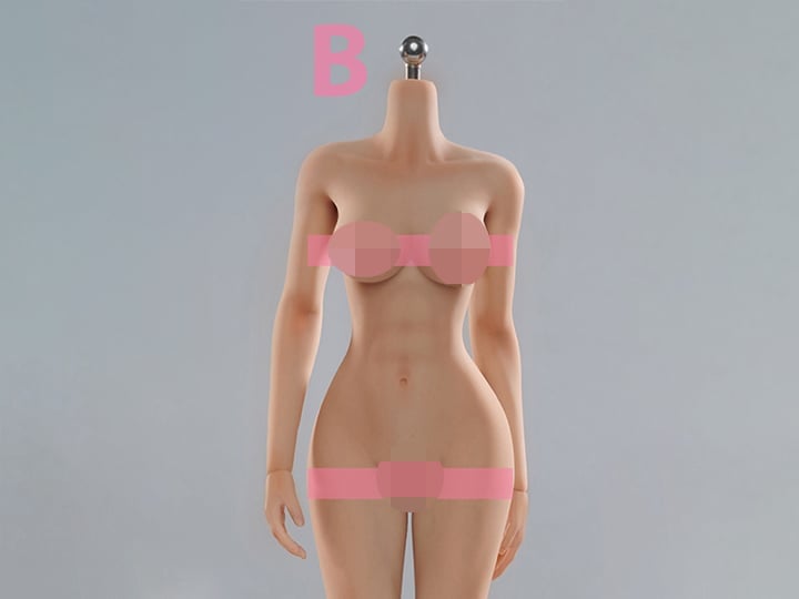 Very Cool Universal Female 1/6 Scale Medium Bust Body with Feet (VCD-02B Regular Complexion) - View 2