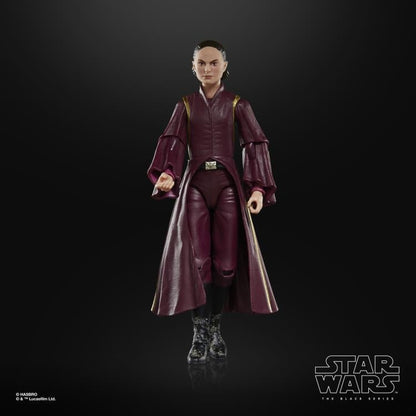 Hasbro Star Wars 25th Anniversary The Black Series 6-Inch Padme Amidala The Phantom Menace Action Figure - View 7