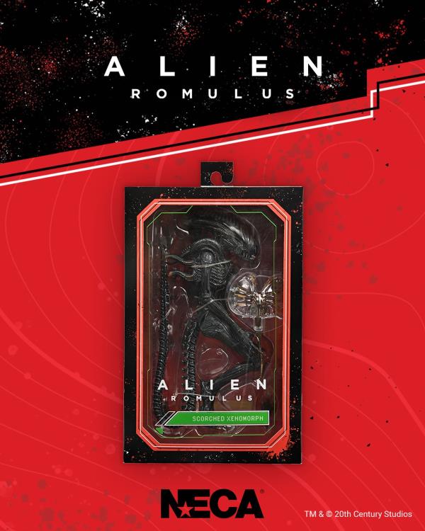 NECA Alien Romulus Ultimate Scorched Alien Xenomorph 9-Inch Plastic Figure - View 9